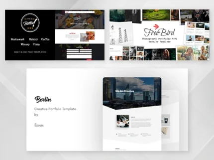 FusionX: The Ultimate Creative WordPress Theme Pack